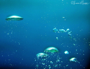 Bubbles in Bora Bora by Laurie Slawson 